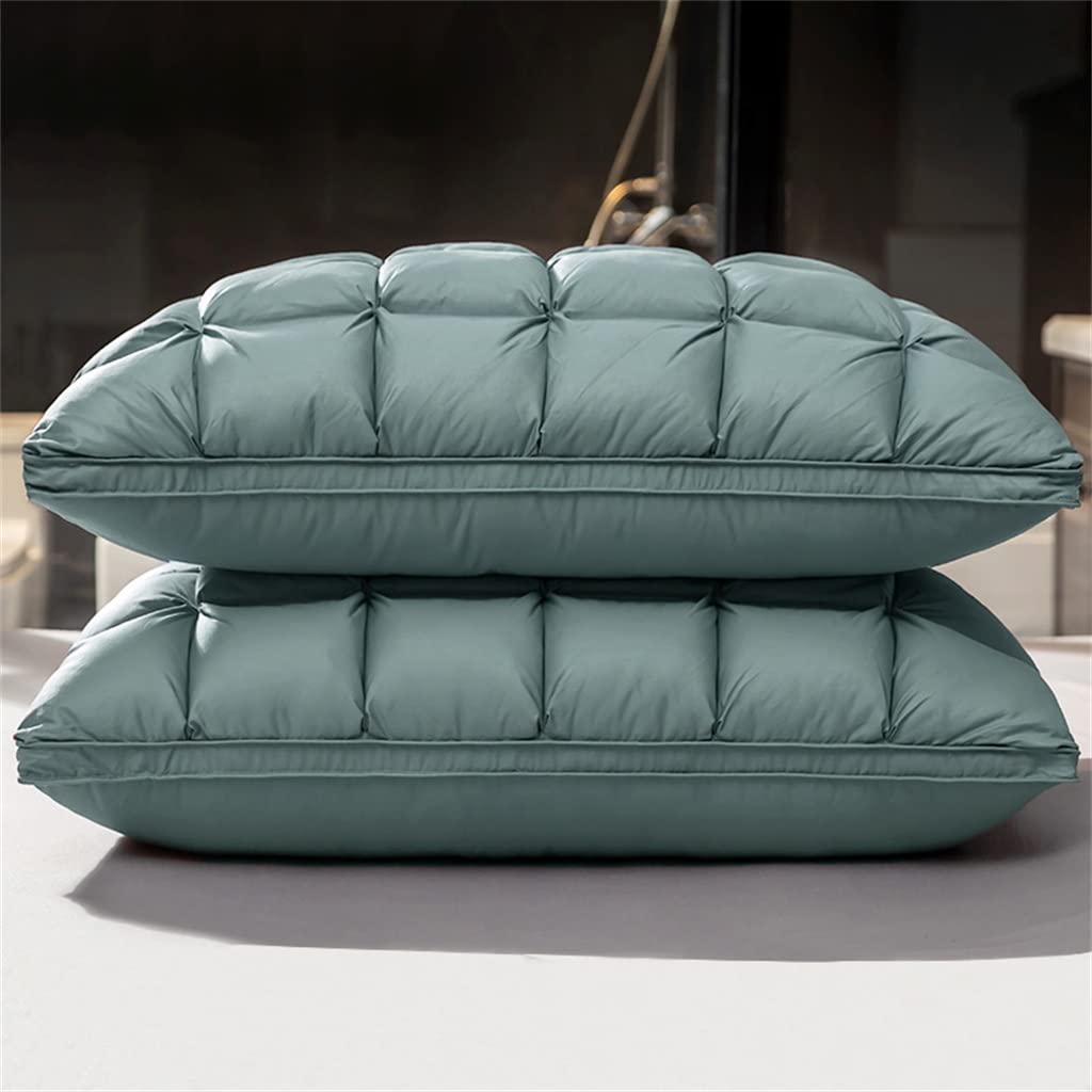 LIJSFGRX Natural Down Bed Pillow with Cotton Cover