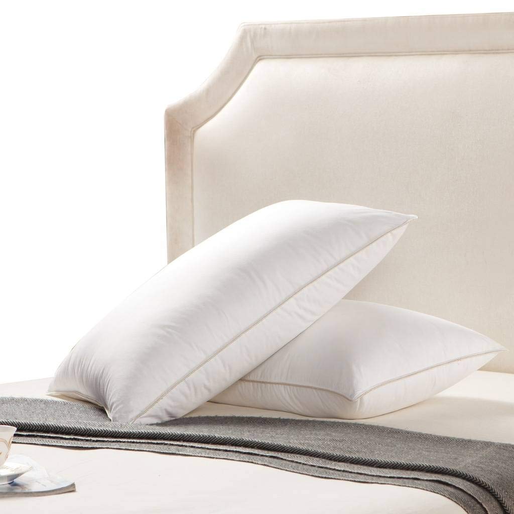 Firm Goose Down Queen Pillows, 250TC Egyptian Cotton, Set of 2