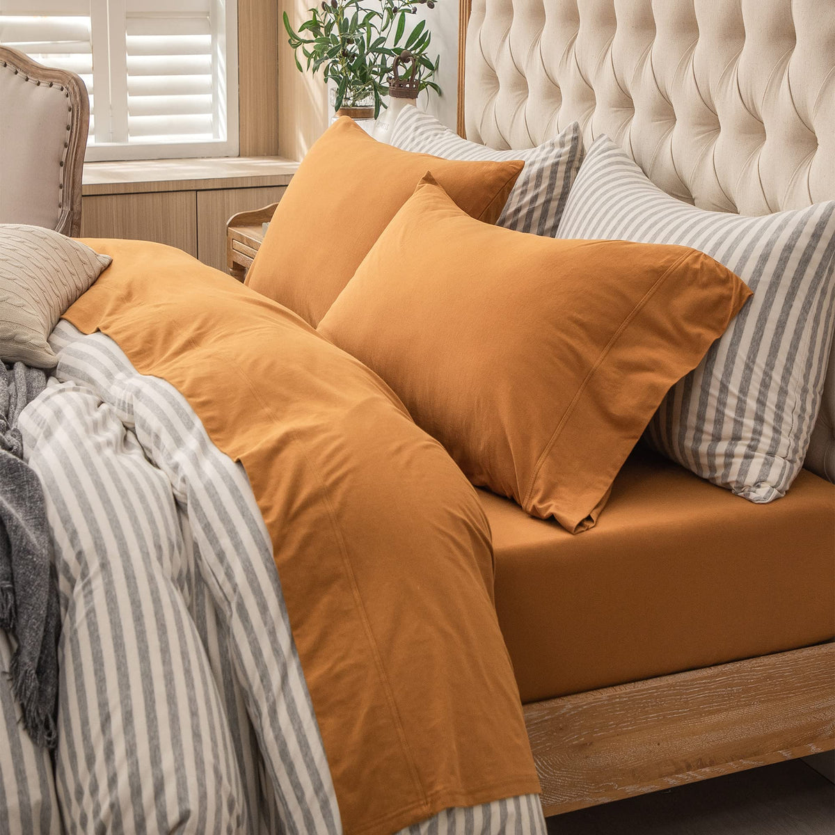 PURE ERA Soft Jersey Knit Cotton Bed Sheet Set